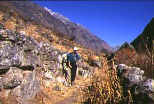 �����ɂ�