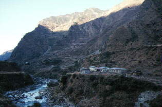 �V�V���u���x���V�̒�