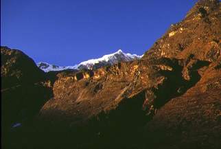 �����^�����[�i�F