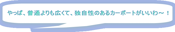 ρAʂLāAƎ̂J[|[g`I