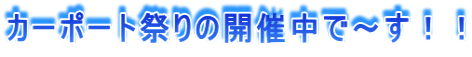 J[|[gՂ̊JÒŁ`II