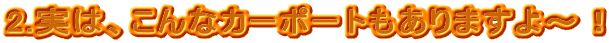 2.́AȃJ[|[g܂`I