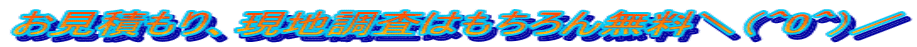 ςAn͂񖳗_iO0Oj^