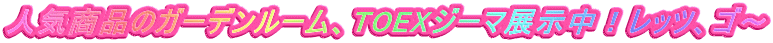 lCĩK[f[ATOEXW[}WIbcAS`