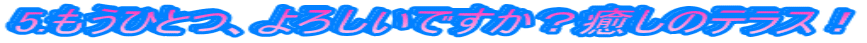 5.ЂƂA낵łH̃eXI