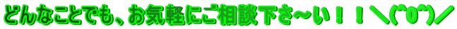 ǂȂƂłACyɂk`II_(^0^)^