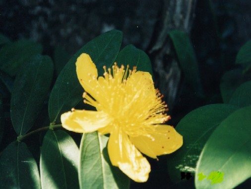 rEiM